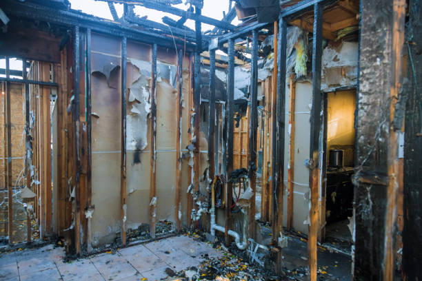 Professional Fire Damage Repair technician working in Hanover, IN